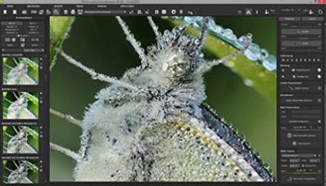 Free Franzis FOCUS #6